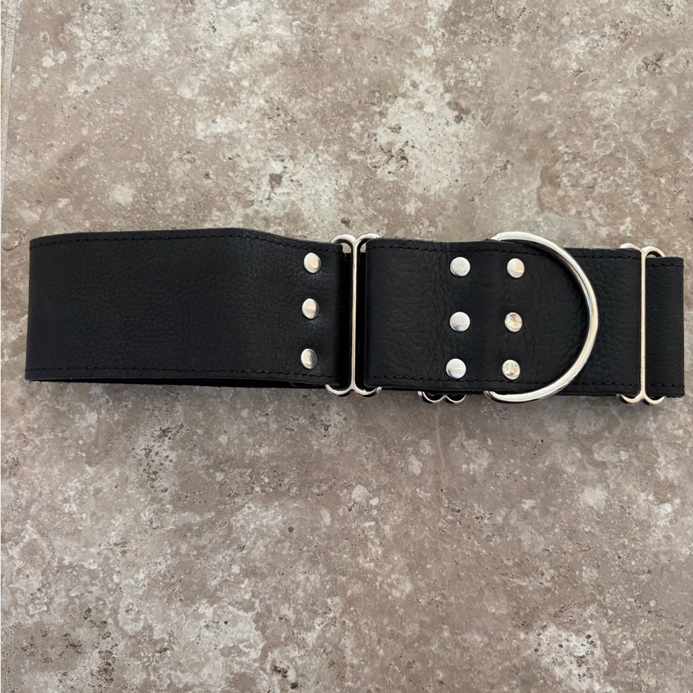 NWOT Leather Dog Collar